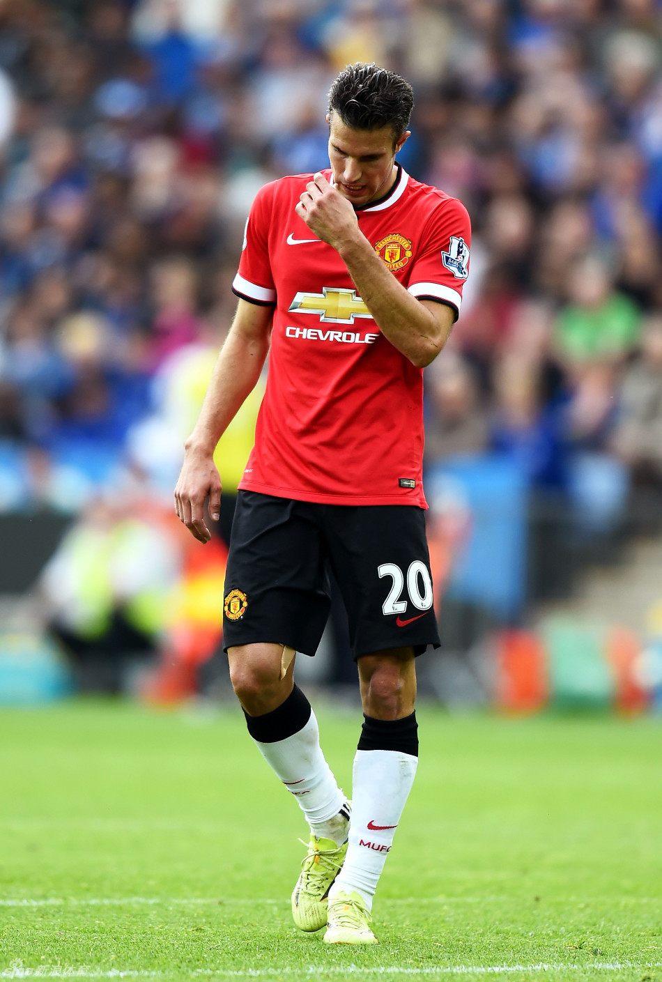 无限期休战，最大赢家出现